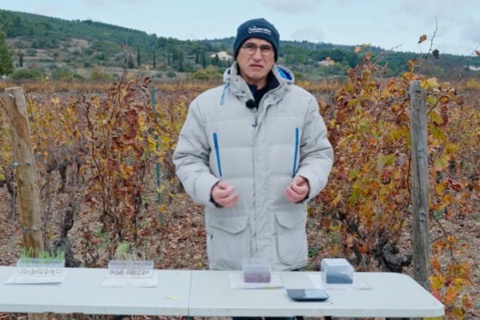 La Chambre d'agriculture de l'Hérault lance une calculatrice pour régler le semoir au vignoble