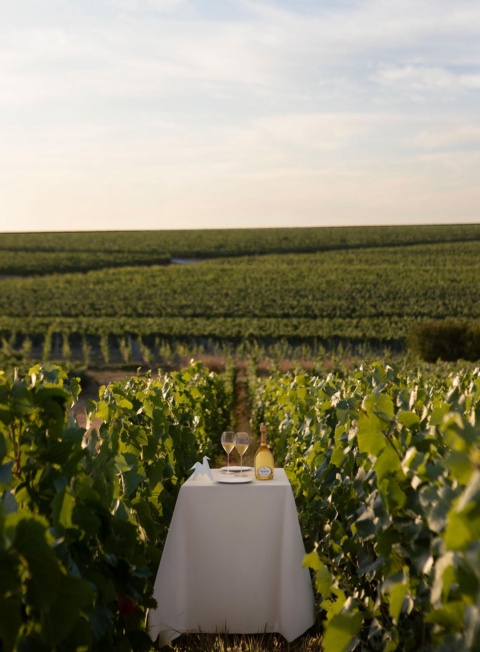 Champagne : Ruinart relance son tour de table chez Cheval Blanc Paris